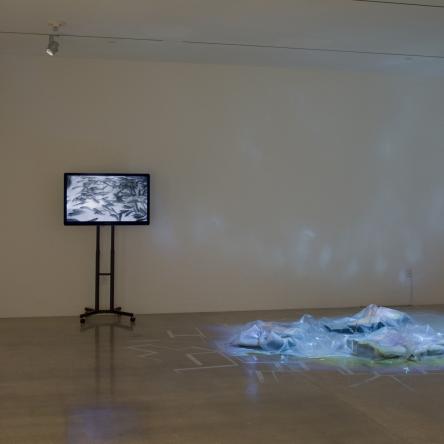 install image of 'Grasping fragments, or otherwise calculating distance' at Visual Arts Center, UT Austin