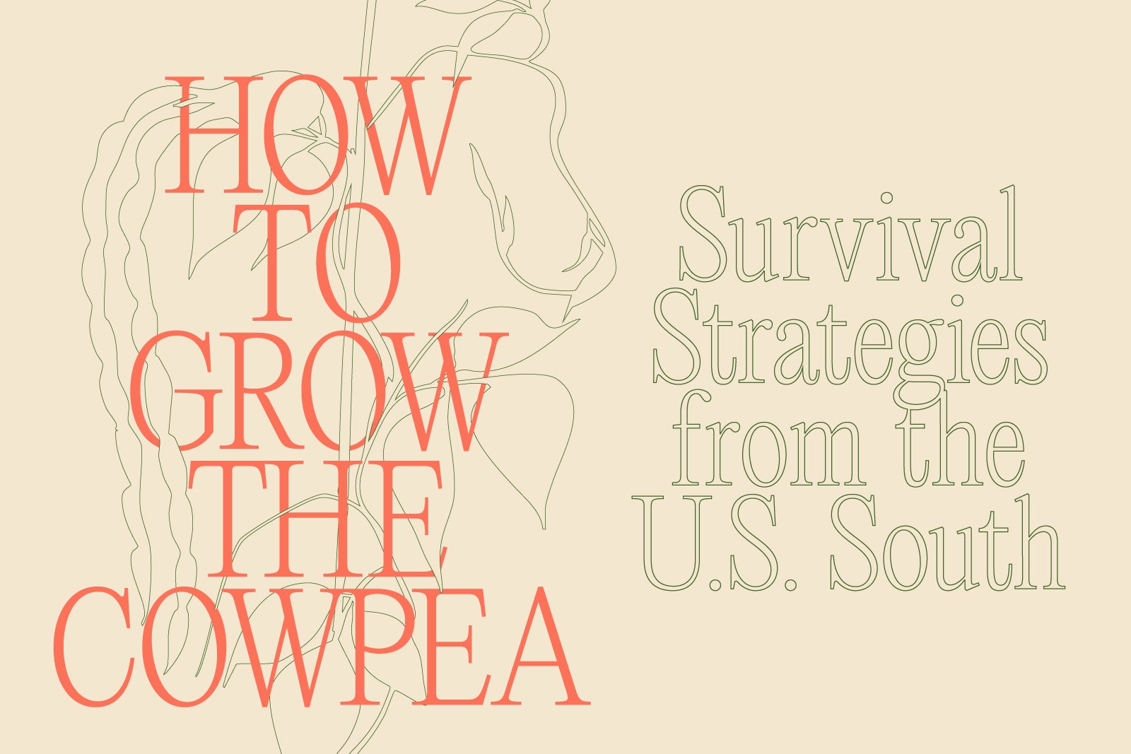 How to Grow the Cowpea: Survival Strategies from the U.S. South