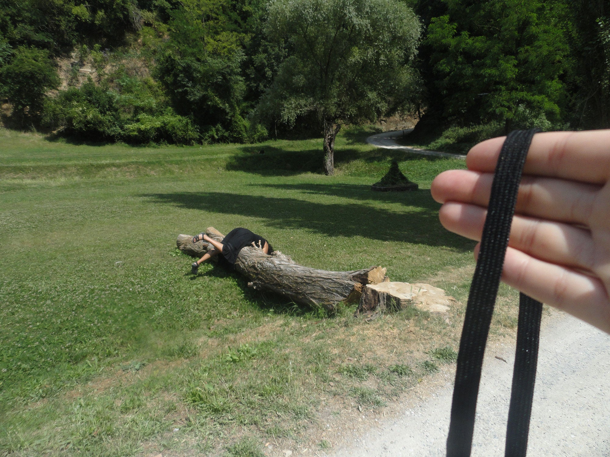 scene with person draped over downed tree trunk with hand in foreground holding black strap