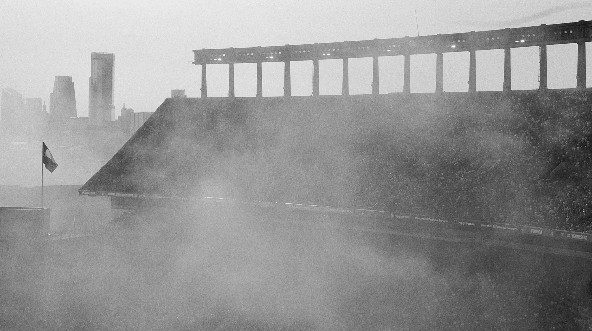 work by Francesca Lally