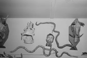 Russell Lee's photograph of Homer Tate's studio showing various oddities and gaffs on the wall