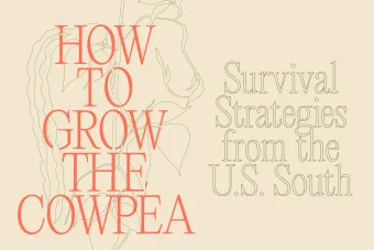 How to Grow the Cowpea: Survival Strategies from the U.S. South