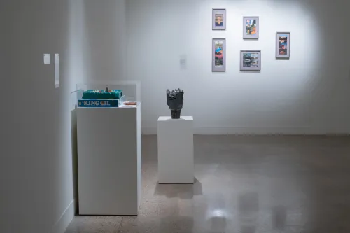 artwork by Carolina Caycedo and David de Rozas, Visual Arts Center, UT Austin