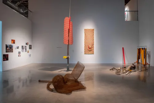 artwork by Magdalena Jarkowiec, Visual Arts Center, UT Austin