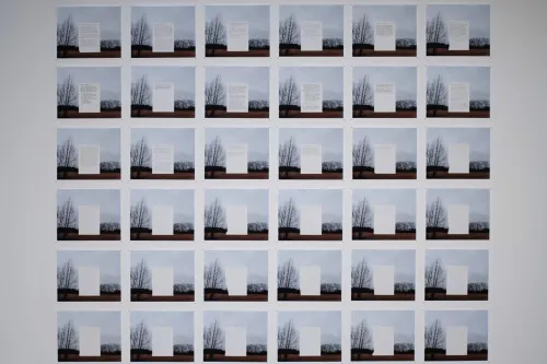 artwork by Heather Canterbury, Visual Arts Center, UT Austin