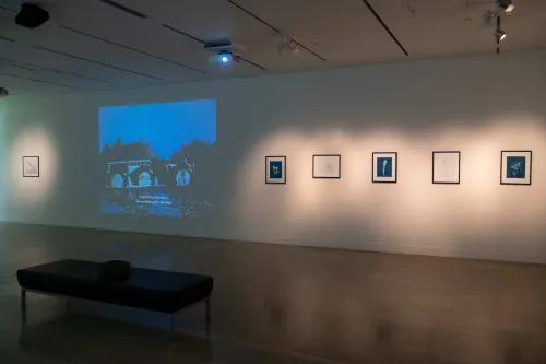 artwork by Ania Mininkova, Visual Arts Center, UT Austin