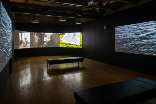 still of video exhibition with five screens on all sides