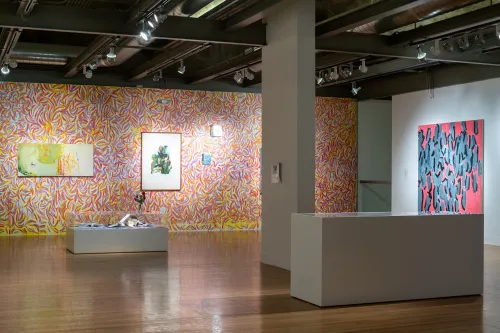 artwork by Corentin Canesson and others, Visual Arts Center, UT Austin
