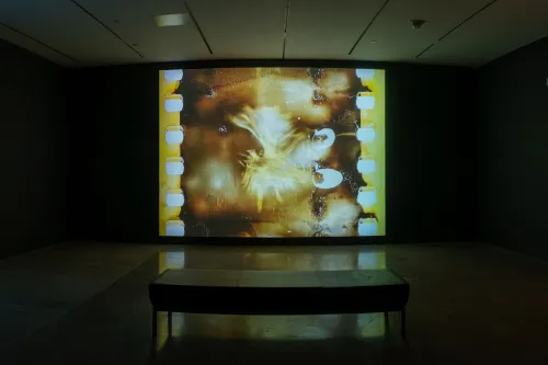 artwork by Bill Morrison, Visual Arts Center, UT Austin
