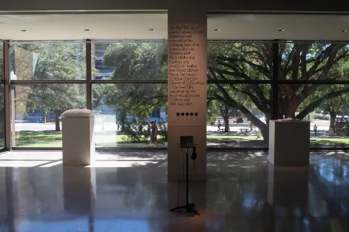 work by Laurie Anderson at Visual Arts Center, UT Austin
