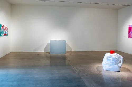 'Junk Drawer' exhibition, Visual Arts Center, UT Austin