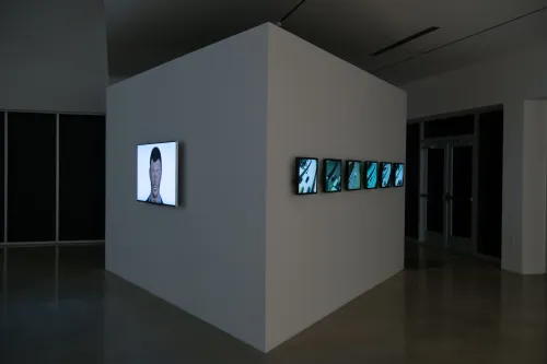 artwork by Felipe Steinberg, Visual Arts Center, UT Austin
