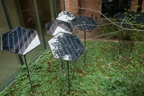 work by Victor Perez-Rul, Visual Arts Center, UT Austin
