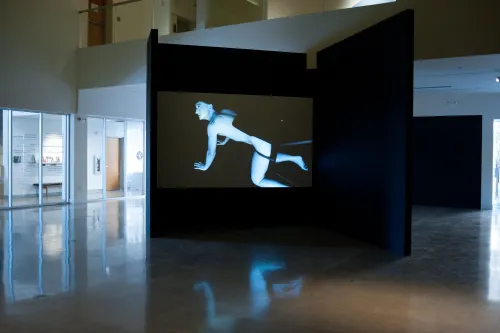 work by Emily Roysdon, Visual Arts Center, UT Austin