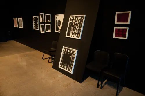 work by Emily Roysdon, Visual Arts Center, UT Austin