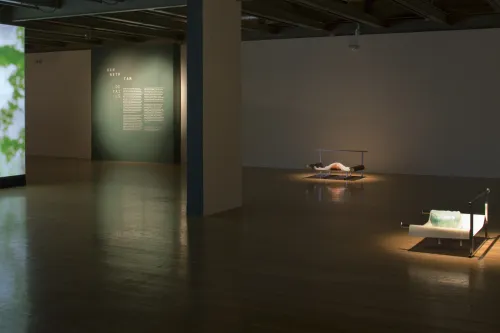 work by Kenneth Tam, Visual Arts Center, UT Austin