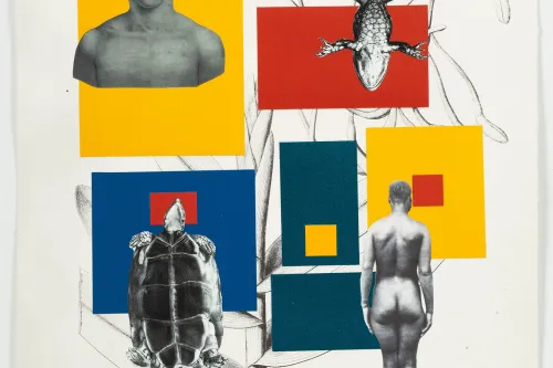 artwork by Rosana Paulino 