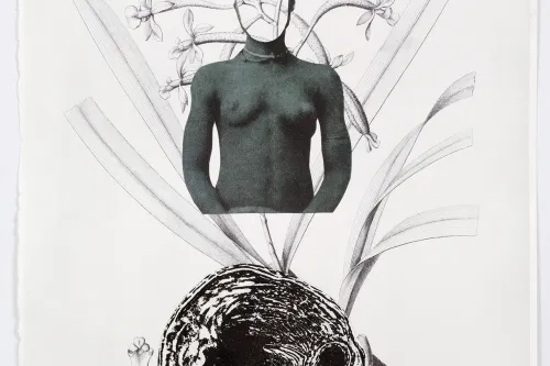 artwork by Rosana Paulino 