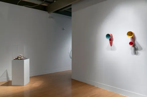 installation view of Blackland Prairies