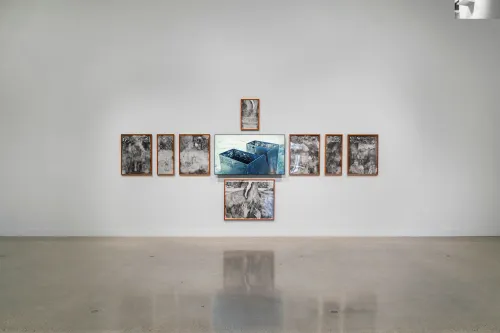 installation view of Pablo Tut: Land Invention