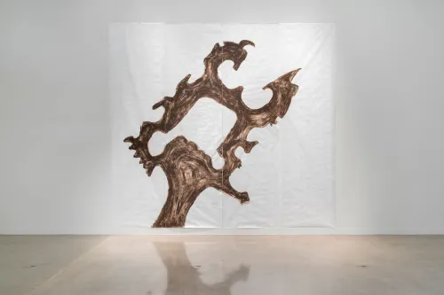 installation view of Pablo Tut: Land Invention