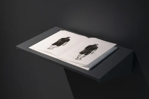 work from Connective Tissues