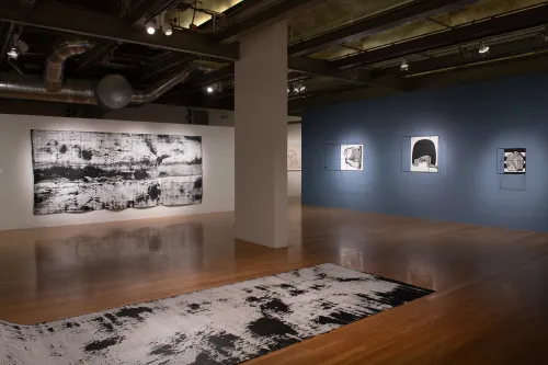 installation view of Joey Fauerso: Wait For It