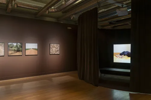 installation view of Zalika Azim: Blood Memories (or a going to ground)