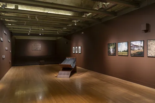 installation view of Zalika Azim: Blood Memories (or a going to ground)