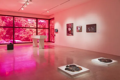 installation view of Love in Excess