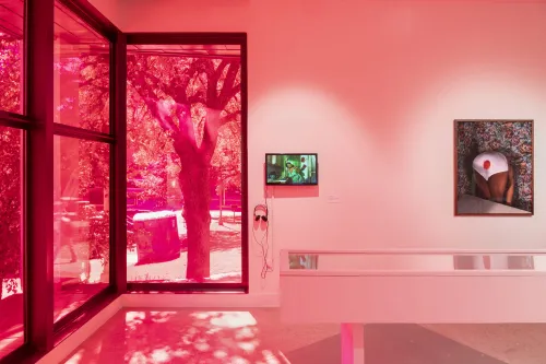 installation view of Love in Excess