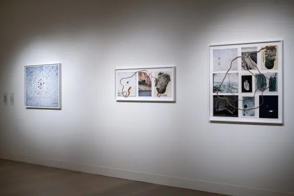 artwork by Carolina Caycedo and David de Rozas, Visual Arts Center, UT Austin
