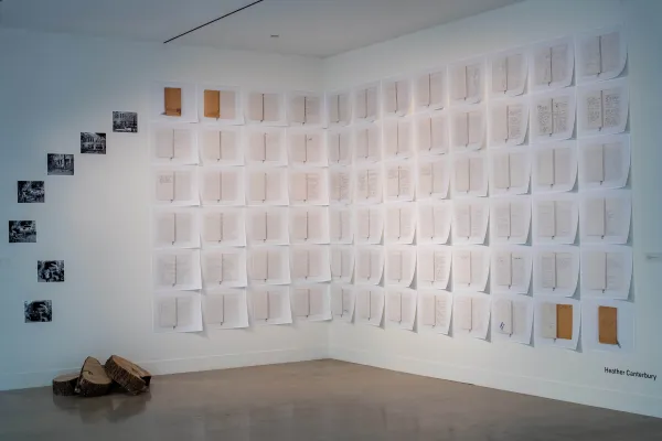 artwork by Heather Canterbury, Visual Arts Center, UT Austin