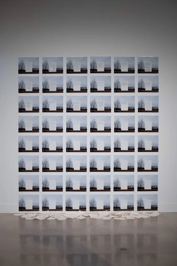 artwork by Heather Canterbury, Visual Arts Center, UT Austin