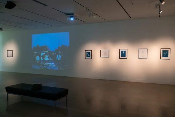 artwork by Ania Mininkova, Visual Arts Center, UT Austin