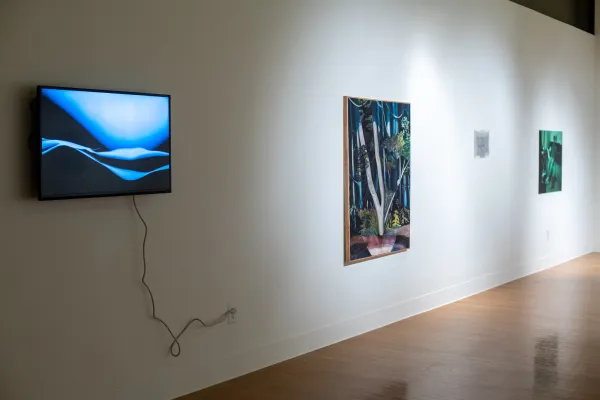 artwork by first-year MFA candidates, Visual Arts Center, UT Austin