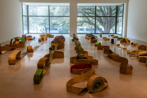 artwork by Madeline Hollander, Visual Arts Center, UT Austin