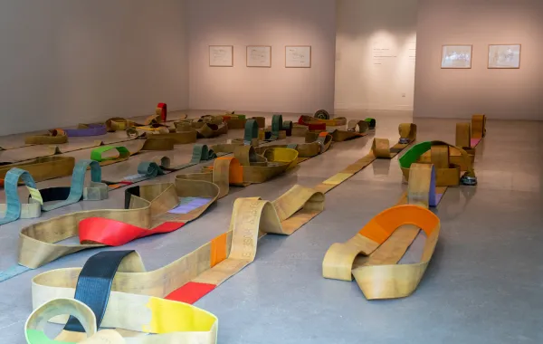 artwork by Madeline Hollander, Visual Arts Center, UT Austin