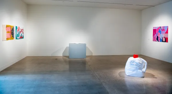 'Junk Drawer' exhibition, Visual Arts Center, UT Austin