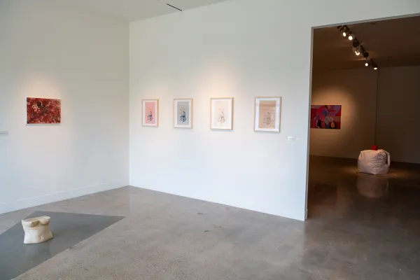 'Junk Drawer' exhibition, Visual Arts Center, UT Austin