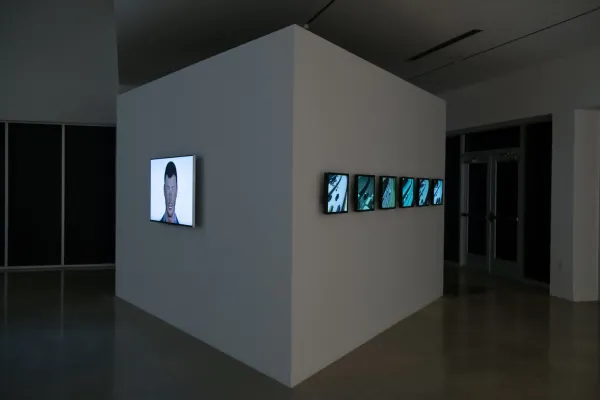 artwork by Felipe Steinberg, Visual Arts Center, UT Austin
