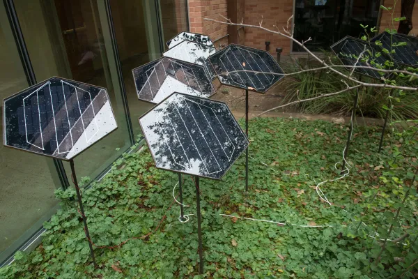 work by Victor Perez-Rul, Visual Arts Center, UT Austin