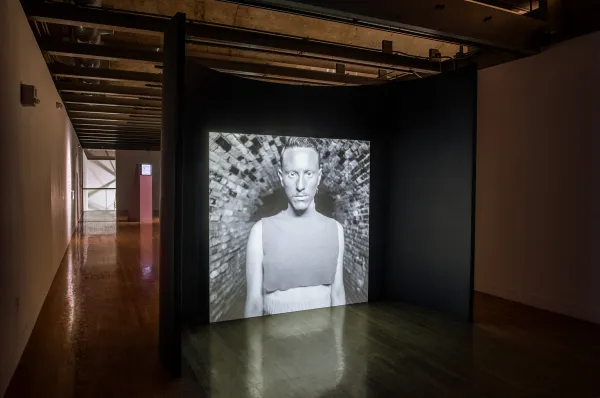 artwork by Luiz Roque, Visual Arts Center, UT Austin
