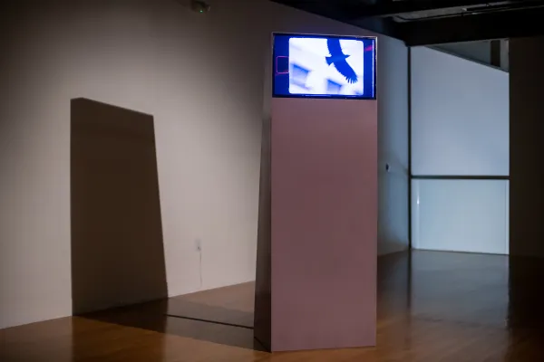 artwork by Luiz Roque, Visual Arts Center, UT Austin