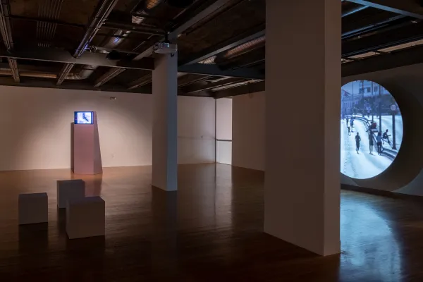 artwork by Luiz Roque, Visual Arts Center, UT Austin
