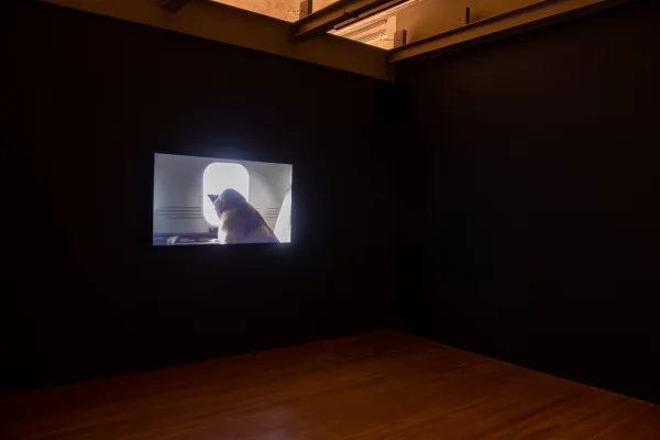 artwork by Luiz Roque, Visual Arts Center, UT Austin