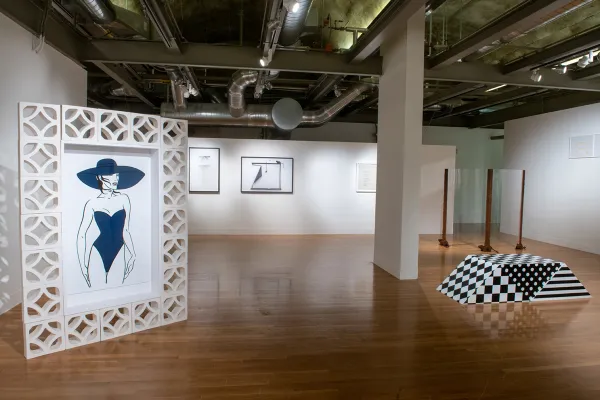 Lisa Lapinski: Drunk Hawking | Visual Arts Center