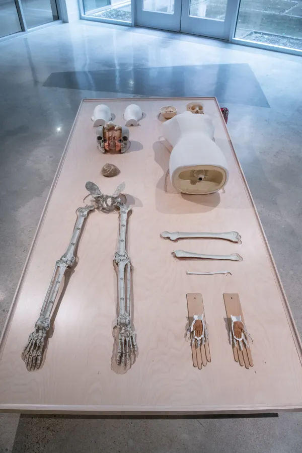 artwork by Lan Tuazon, Visual Arts Center, UT Austin