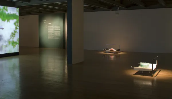 work by Kenneth Tam, Visual Arts Center, UT Austin