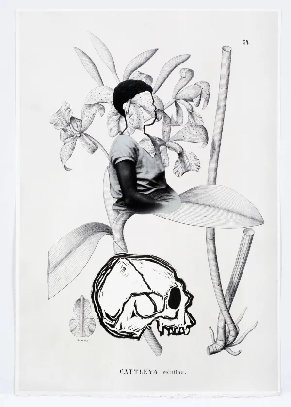 artwork by Rosana Paulino 